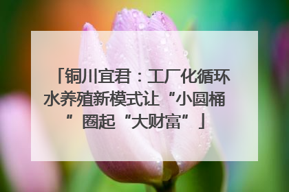 铜川宜君：工厂化循环水养殖新模式让“小圆桶”圈起“大财富”