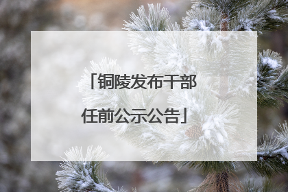 铜陵发布干部任前公示公告