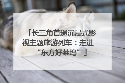 长三角首趟沉浸式影视主题旅游列车：走进“东方好莱坞”