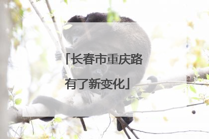 长春市重庆路有了新变化