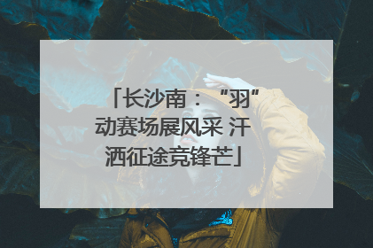 长沙南：“羽”动赛场展风采 汗洒征途竞锋芒