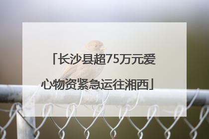 长沙县超75万元爱心物资紧急运往湘西