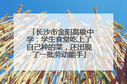 长沙市金阳高级中学：学生食堂吃上了自己种的菜，还出现了一批劳动能手