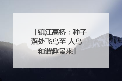 镇江高桥：种子落处飞鸟至 人鸟和谐趣景来