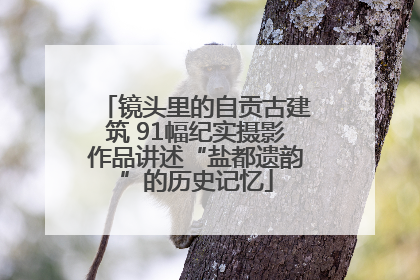 镜头里的自贡古建筑 91幅纪实摄影作品讲述“盐都遗韵”的历史记忆