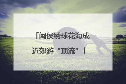闽侯绣球花海成近郊游“顶流”