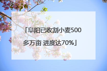 阜阳已收割小麦500多万亩 进度达70%