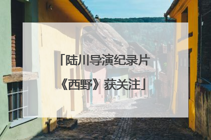 陆川导演纪录片《西野》获关注