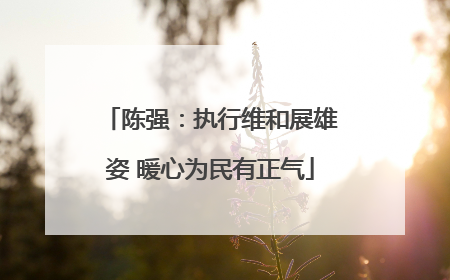 陈强：执行维和展雄姿 暖心为民有正气