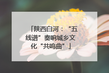 陕西白河：“五线谱”奏响城乡文化“共鸣曲”