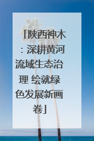 陕西神木：深耕黄河流域生态治理 绘就绿色发展新画卷