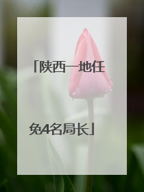 陕西一地任免4名局长
