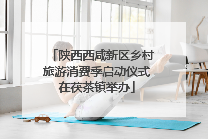 陕西西咸新区乡村旅游消费季启动仪式在茯茶镇举办