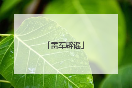 雷军辟谣