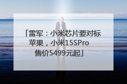 雷军：小米芯片要对标苹果，小米15SPro售价5499元起