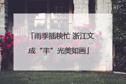 雨季插秧忙 浙江文成“丰”光美如画