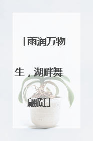 雨润万物生，湖畔舞翩跹