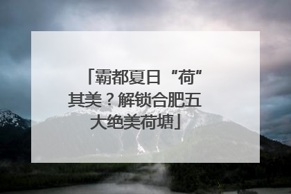 霸都夏日“荷”其美？解锁合肥五大绝美荷塘