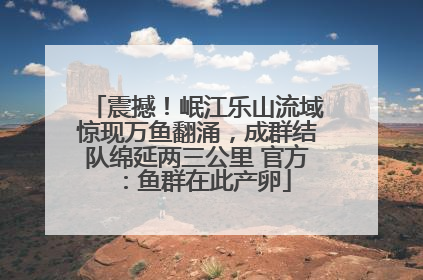 震撼！岷江乐山流域惊现万鱼翻涌，成群结队绵延两三公里 官方：鱼群在此产卵