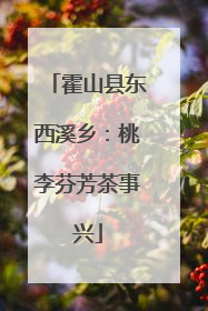 霍山县东西溪乡：桃李芬芳茶事兴