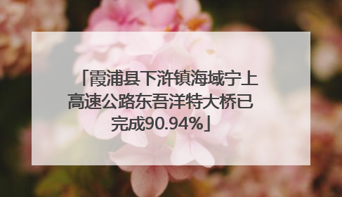 霞浦县下浒镇海域宁上高速公路东吾洋特大桥已完成90.94%