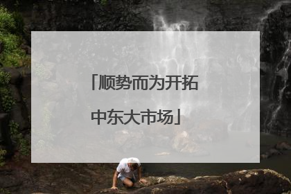 顺势而为开拓中东大市场