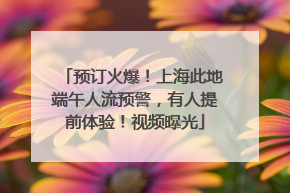预订火爆！上海此地端午人流预警，有人提前体验！视频曝光