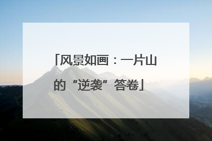 风景如画：一片山的“逆袭”答卷