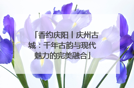 香约庆阳丨庆州古城：千年古韵与现代魅力的完美融合