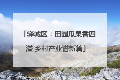 驿城区：田园瓜果香四溢 乡村产业谱新篇