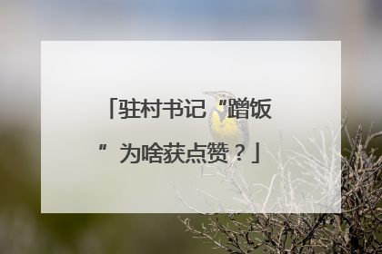 驻村书记“蹭饭”为啥获点赞？