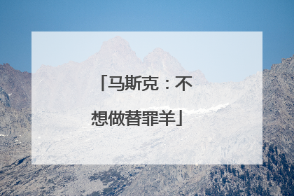 马斯克：不想做替罪羊