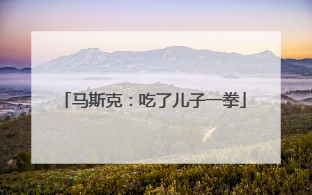 马斯克：吃了儿子一拳