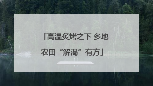 高温炙烤之下 多地农田“解渴”有方