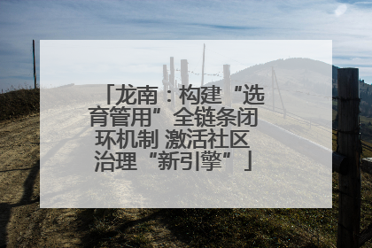 龙南：构建“选育管用”全链条闭环机制 激活社区治理“新引擎”