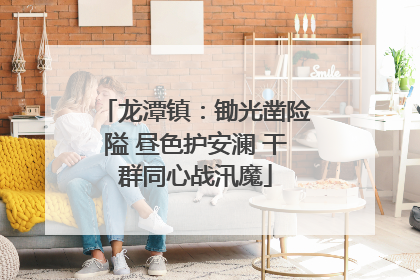 龙潭镇：锄光凿险隘 昼色护安澜 干群同心战汛魔