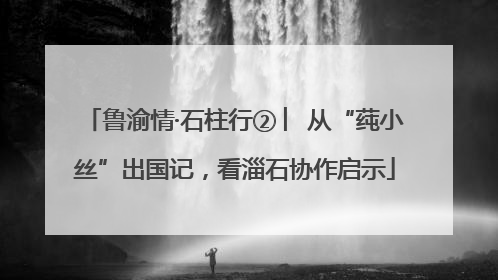 鲁渝情·石柱行② ︳从“莼小丝”出国记，看淄石协作启示