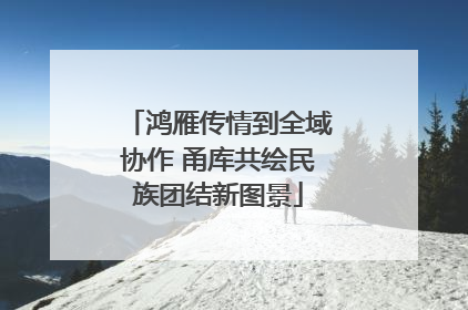 鸿雁传情到全域协作 甬库共绘民族团结新图景