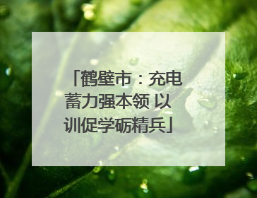 鹤壁市：充电蓄力强本领 以训促学砺精兵