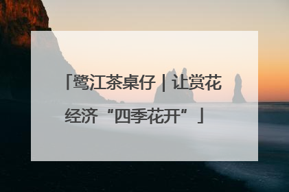 鹭江茶桌仔｜让赏花经济“四季花开”