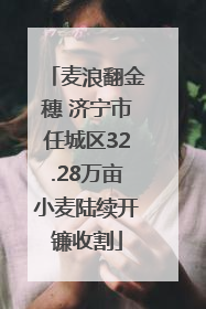 麦浪翻金穗 济宁市任城区32.28万亩小麦陆续开镰收割
