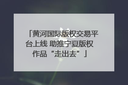 黄河国际版权交易平台上线 助推宁夏版权作品“走出去”