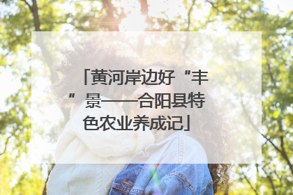 黄河岸边好“丰”景——合阳县特色农业养成记