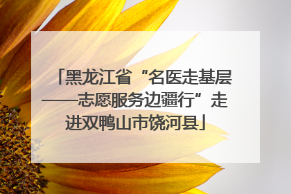 黑龙江省“名医走基层——志愿服务边疆行”走进双鸭山市饶河县