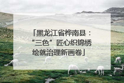 黑龙江省桦南县：“三色”匠心织锦绣 绘就治理新画卷