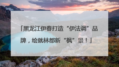 黑龙江伊春打造“伊法调”品牌，绘就林都新“枫”景！