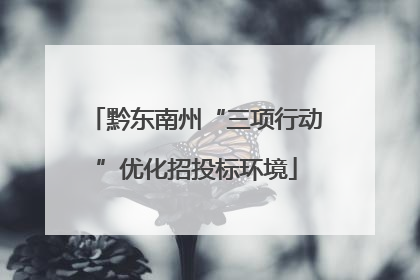 黔东南州“三项行动”优化招投标环境