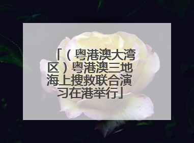 （粤港澳大湾区）粤港澳三地海上搜救联合演习在港举行
