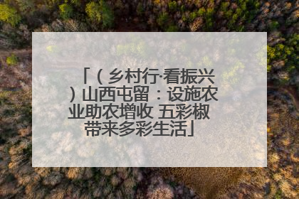 （乡村行·看振兴）山西屯留：设施农业助农增收 五彩椒带来多彩生活