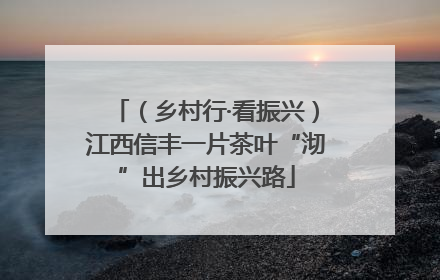 （乡村行·看振兴）江西信丰一片茶叶“沏”出乡村振兴路